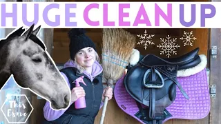 Ultimate Cleaning! - The WHOLE Stables! Winter 2021 AD | This Esme