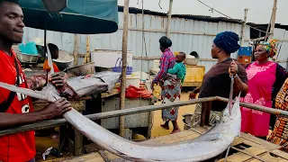 Big Sword Fish And Different Fish At Togo 🇹🇬 New Fishermen Port - Togo 🇹🇬 Ep 4