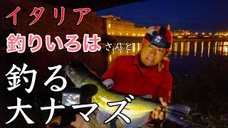 【イタリア・釣り】フィレンツェ　釣りいろはさんと　アルノ河で追いかける　大ナマズ〜Florence in Italy  Arno  River Fishing Big Cat Fish 🎣 〜