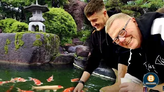 Discovering the BEAUTY of Koi Carp in OUR Japanese RETREAT 😮😮.  #22