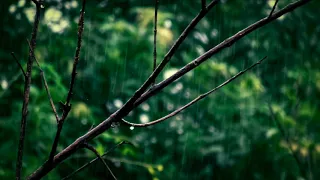 || 8 hours of Rain and Om Frequency For Relaxation || 432 hz