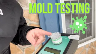 Mold Testing | How to Test for Mold