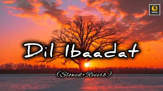 Dil Ibaadat (Slowed+reverb) || Lofi Song || K.K. || Goviind Edits 🎥 #dilibaadat #lofisong #viral