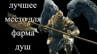 Лучшее место для фарма душ в Dark Souls 3 / ГАЙД