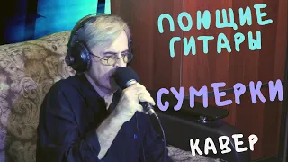 Поющие гитары - Сумерки | кавер от Amigoiga family 🎷