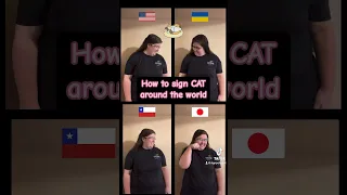 🐈 How to sign #CAT in #signlanguage #ukraine #chile #japan and #asl