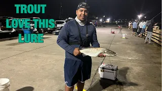 SeaWolf Park Fishing EVERYONE was CATCHING THESES MASSIVE TROUT