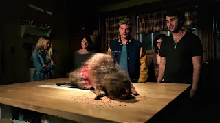 Zombeavers (2014) film explained Hindi/Urdu | Horror/Thriller Zombie movie summarized हिन्दी.