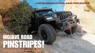 Mojave Road.  Solo camping and overlanding with a giant dog in a Jeep Gladiator.