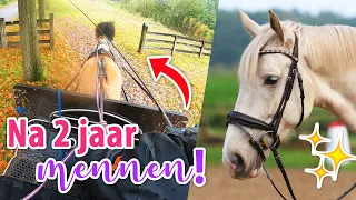 Na 2 jaar weer MENNEN met Marley & nóg een nieuw HOOFDSTEL! | felinehoi VLOG #482