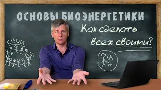 22. Как делать всех Своими. Основы Биоэнергетики.