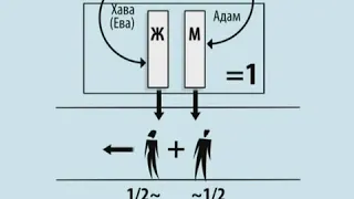 1.1 Основы каббалы   МУЖЧИНА И ЖЕНЩИНА – ДВЕ СТИХИИ