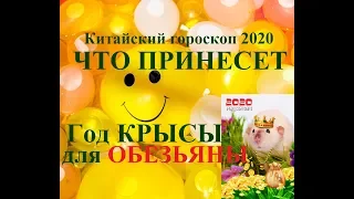 Год КРЫСЫ для ОБЕЗЬЯНЫ. Китайский гороскоп 2020. Таропрогноз.