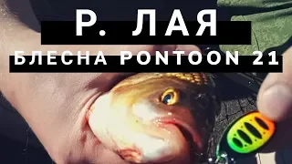 Река Лая Архангельская область. Блесны Pontoon21. (Из архива 2018 год)