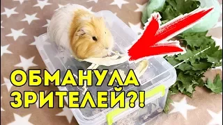 ОБМАНУЛА ЗРИТЕЛЕЙ? ГДЕ НОВЫЙ ПИТОМЕЦ? ДЛЯ КОГО КОНТЕЙНЕР?