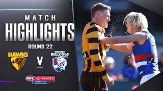 Hawthorn v Western Bulldogs Highlights | Round 22, 2023 | AFL