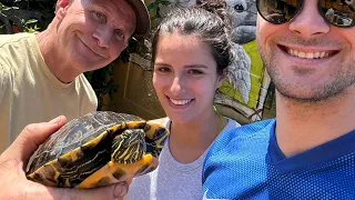 Awesome Humans RESCUE a turtle! 🐢🐢🐢🙏❤️
