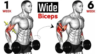 6 Exercises to Big Biceps Fastest