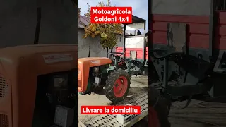 Motoagricola Goldoni Export 4x4