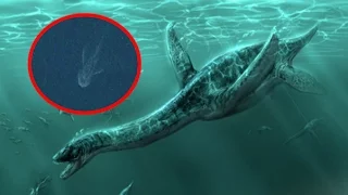 5 Loch Ness Monster Sightings Caught On Camera Unexplained Mysteries