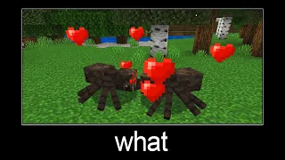 Minecraft wait what meme part 23 (Spider Love)