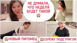 НЕ ДУМАЛА, ЧТО НЕДЕЛЯ БУДЕТ ТАКОЙ🏡КОГДА В СВОЙ ДОМ🙈НОВЫЙ ПИТОМЕЦ