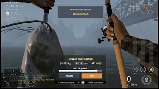 Fishing Planet : Akhtuba River (Unique whels catfish Unique Nothern pike - unique Camon Carp) 46 lev