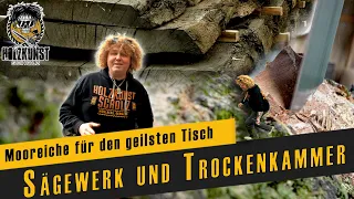 Mooreiche für den geilsten Tisch / Oldschool Sägewerk und moderne Trockenkammer