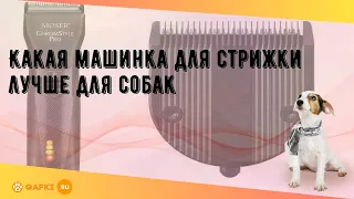 Какая машинка для стрижки лучше для собак