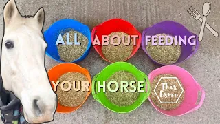 All About Feeding Your Horse! Beginners Series AD | This Esme