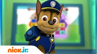 Paw Patrol - La Squadra dei Cuccioli | La PAW Patrol balla il Pup Pup Boogie! | Nick Jr.