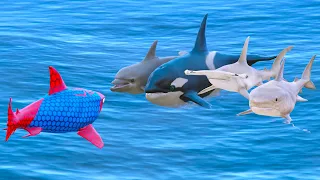 GTA 5 Spiderman Shark vs Hammer Shark vs Dolphin vs Whale Battle