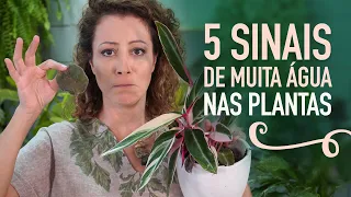 COMO REGAR as PLANTAS SEM ERRAR: manual da REGA PERFEITA