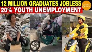 12 Million Graduates Jobless, 20% Youth Unemployment