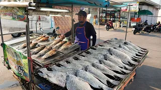 Mouth-Watering! Amazing Master Chef Grilled Fish | Thai Street Food