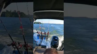 HUGE WAKE!!