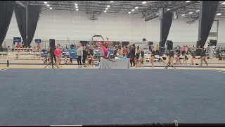 Level 3 Floor Routine - Score 9.525