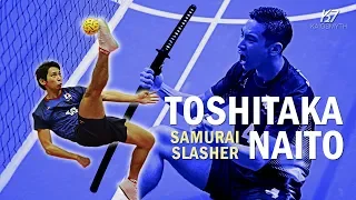 Toshitaka Naito -  Best Spikes & Skills | HD