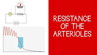 4.4 Cardiovascular: Resistance of the Arterioles