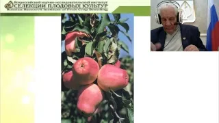 Лучшие сорта яблони Всероссийского НИИ селекции плодовых культур