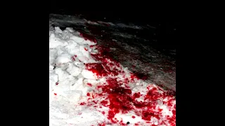 LIL LUCIFER - BLOOD SHED FT. DEADBEATVILLAIN (PROD. LONGLOST)