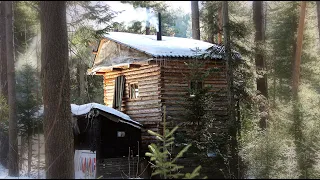 Campaign in the wood /  log hut / horror film