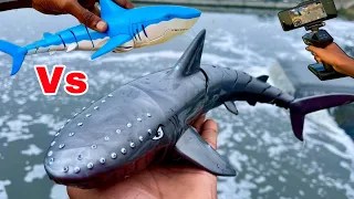 Remote Control Fastest Small Shark Unboxing & Testing 😱