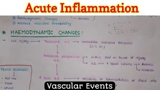 Acute Inflammation (1/4) | Vascular Events