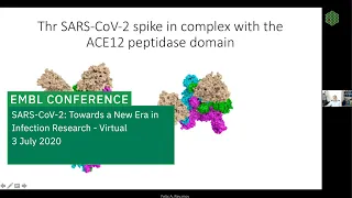 Félix A. Rey - The coronavirus spike protein: proteolytic activation and conformational changes