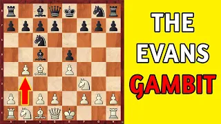 Learn The Aggressive Chess Opening || The Evans Gambit!