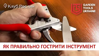 How to sharpen a pruner - rules for caring for a garden tool