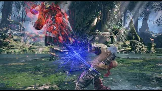 Tekken 8 Reina Disrupts Bryan Fury Enjoyment in Ranked