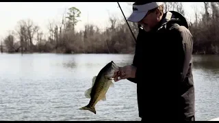 Catching Bass All Over The Nation From Lake Castaic, Sam Rayburn and Elsewhere