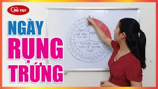 Cách tính ngày rụng trứng dựa theo ngày kinh nguyệt mẹ cần biết.